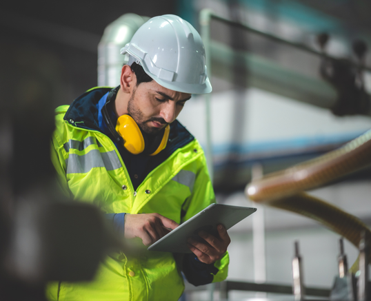 Mental Health Wellness Services