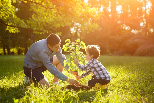 Nature: The Holistic Healer